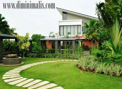 rumput taman minimalis