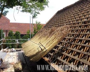 atap rumah minimalis