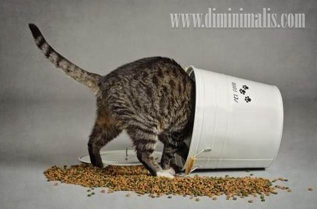 tips meninggalkan rumah saat mudik, tips meninggalkan rumah mudik, tips rumah ditinggal mudik, tips rumah aman ditinggal mudik, tips rumah mudik, tips rumah aman mudik, tips rumah aman saat mudik, tips rumah aman ditinggal mudik, tips rumah ditinggal mudik, rumah kosong mudik lebaran, tips meninggalkan rumah ketika mudik, tips aman meninggalkan rumah ketika mudik, Tips rumah ditinggal mudik, tips rumah aman ditinggal mudik, mudik lebaran, info mudik