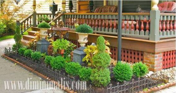 memilih tanaman untuk taman