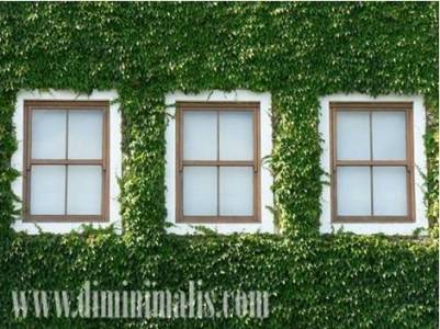 rumah ramah lingkungan