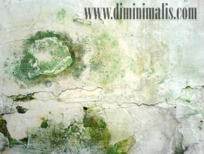 cat dinding rusak karena hujan, solusi cat dinding rusak karena hujan, cat tembok rusak karena hujan