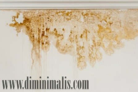 jenis kerusakan cat dinding, macam-macam kerusakan cat dinding, jenis kerusakan cat dinding dan solusinya, jenis kerusakan cat tembok