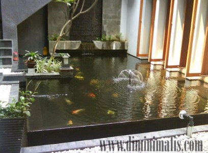 Tips Membuat Kolam Ikan di Pekarangan Rumah