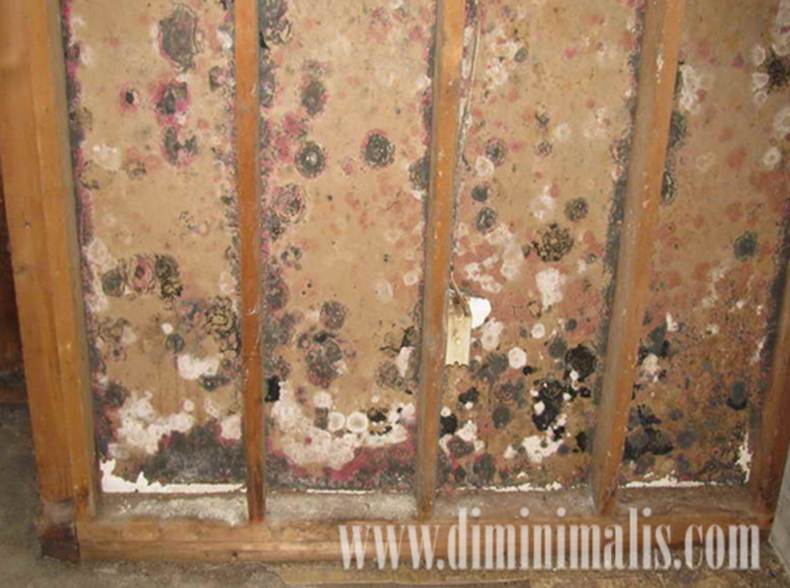 merawat furniture kayu, perawatan furniture kayu, cara merawat furniture kayu, tips merawat furniture kayu, merawat mebel kayu, cara merawat mebel kayu,