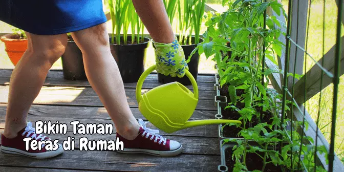 taman teras