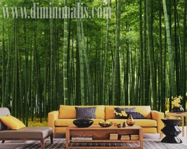  wallpaper vs wallsticker , perbedaan wallpaper dan wall sticker, cara memasang wallsticker