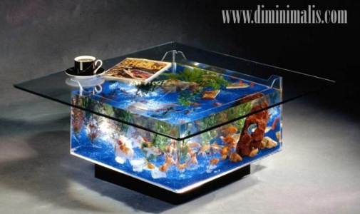 tips merawat akuarium, tips merawat ikan hias di akuarium, tips merawat ikan di akuarium