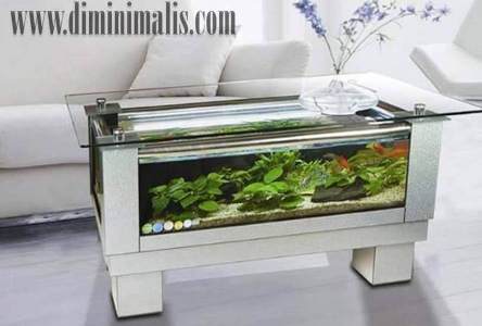  manfaat akuarium untuk kesehatan, manfaat akuarium bagi kesehatan, fungsi akuarium, akuarium indah, aquarium indah, membuat akuarium indah
