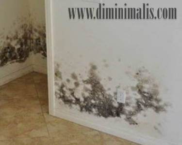 rumah sulit dijual, mengapa rumah sulit dijual, cara agar rumah cepat laku, rumah sulit terjual,