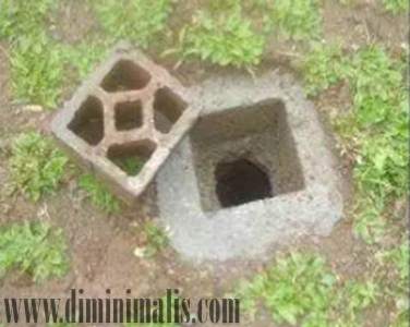 Manfaat Biopori dan Cara Membuat Biopori dari Botol Bekas