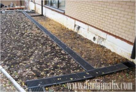 3 Tips Penting Saat Membuat Drainase Rumah