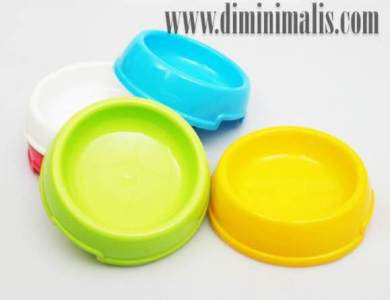 9 Tips Memelihara Kucing yang Wajib Dipahami