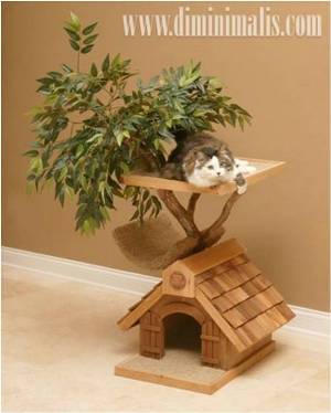 Memelihara hewan peliharaan