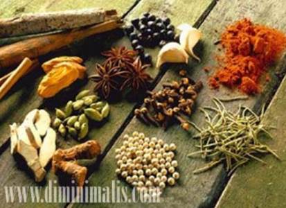 manfaat apotek hidup, manfaat apotik hidup bagi manusia, pengertian apotek hidup