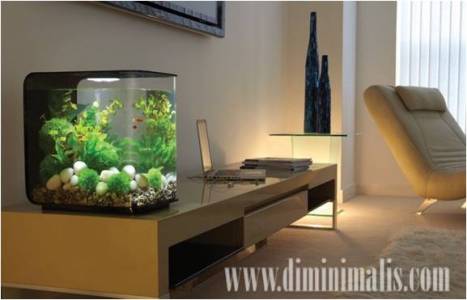 aquarium ikan hias