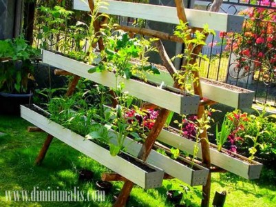 berkebun di lahan sempit, solusi berkebun di lahan sempit, cara berkebun di halaman rumah yang sempit