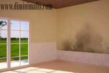 Dampak Angin Malam,Dampak Angin Malam bagi kesehatan, Dampak Angin Malam untuk kesehatan , Mencegah Dinding Lembab, cara Mencegah Dinding Lembab, mengatasi Dinding Lembab, mengatasi tembok lembab