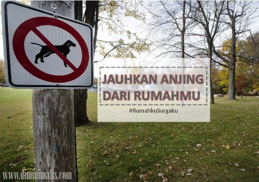 jangan memelihara anjing di rumah mu #RUMAHKUSURGAKU - memelihara anjing di rumah 