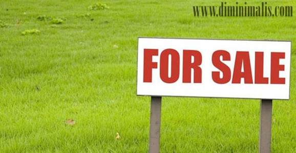 Keuntungan Investasi Tanah, investasi tanah terbaik cara investasi tanah yang menguntungkan, investasi tanah vs emas