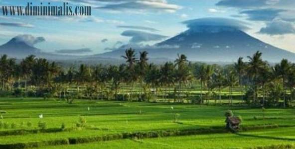 manfaat tinggal di desa, kebaikan tinggal di desa, keuntungan tinggal di desa