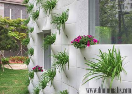 Media Tanam Untuk Vertikal Garden, cara membuat taman vertikal murah , cara membuat vertikal garden sederhana