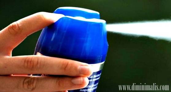 racun serangga , kebaikan racun serangga, kesan penggunaan racun serangga