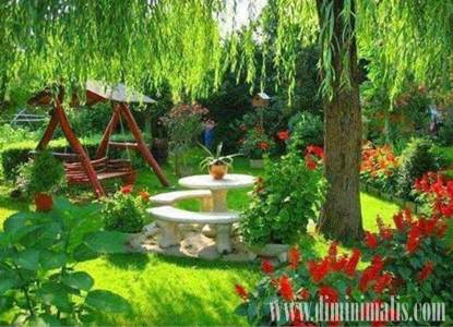 Jenis taman rumah, menata taman depan rumah, cara membuat taman rumah sederhana, cara membuat taman kecil di depan rumah, tanaman hias untuk taman mungil, taman depan rumah sederhana, taman minimalis, taman minimalis belakang rumah, taman depan rumah minimalis lahan sempit