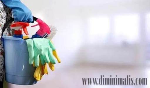 kriteria asisten rumah tangga ideal, kriteria ART ideal, pembantu rumah tangga ideal