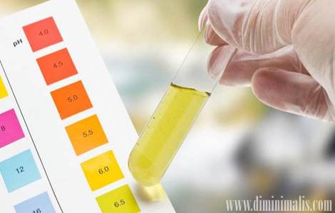 Cara mengatur pH Aquascape, standar ph untuk aquascape, ph ideal aquascape