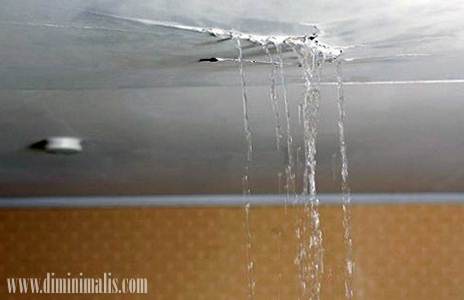 Mencegah kebocoran atap, mengatasi atap asbes bocor, cara mengatasi atap seng bocor, mengatasi atap rembes, pelapis atap bocor