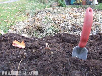 persiapan pembuatan taman, alat dan bahan untuk membuat taman,langkah-langkah membuat taman, proses pembuatan taman, prinsip perancangan taman
