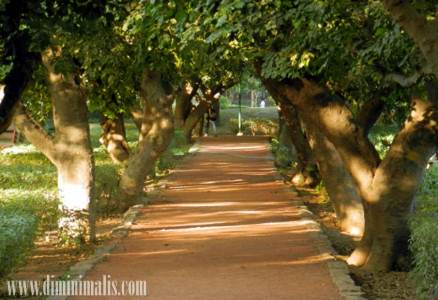  Aktivitas Seru Di Taman, bermain di taman, olah raga di taman