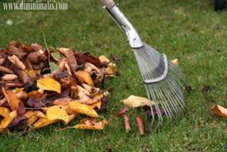 Cara Merawat Taman Rumah, cara merawat tanaman. cara merawat tanaman bunga, cara merawat tanaman agar tumbuh subur