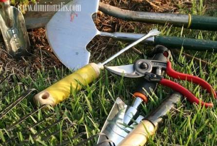 Yang Dikerjakan Jasa Perawatan Taman harga jasa perawatan taman, harga perawatan taman per meter, rincian biaya perawatan taman, jasa perawatan taman jakarta, perawatan taman rumah, jasa perawatan taman tangerang, contoh rab pemeliharaan taman, daftar harga perawatan taman, Cara Merawat Taman Rumah, cara merawat tanaman. cara merawat tanaman bunga, cara merawat tanaman agar tumbuh subur