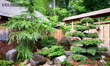 landscape taman rumah minimalis asia