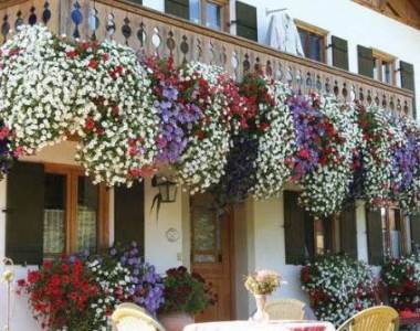  Merancang Taman Gantung minimalis, cantik dengan taman gantung, cara membuat taman gantung dari botol bekas, tanaman yang cocok untuk taman gantung, rak bunga gantung, cara bikin taman gantung, cara membuat tanaman gantung, cara membuat taman vertikal sendiri, cara membuat taman vertikal dari botol bekas