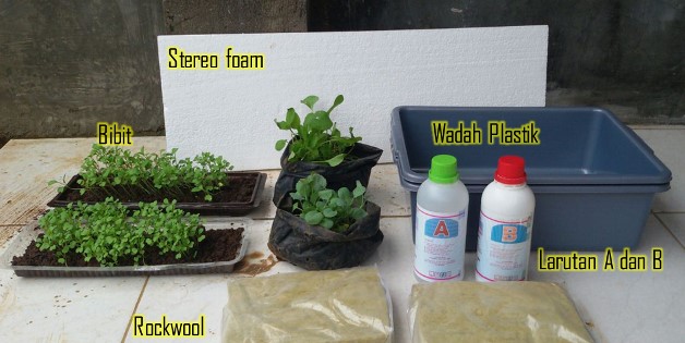 tanaman di rumah minimalis