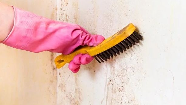 cat rumah minimalis elegan