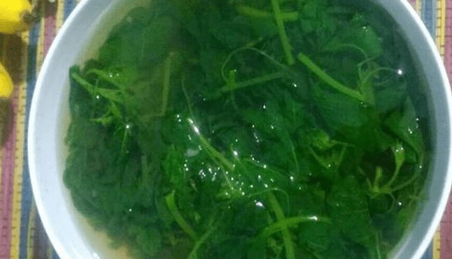 Cara memasak Sayur Bayam