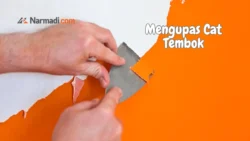 mengupas cat tembok
