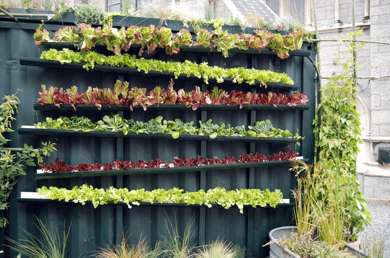 Upgrade Halaman Belakang Rumah Minimalis