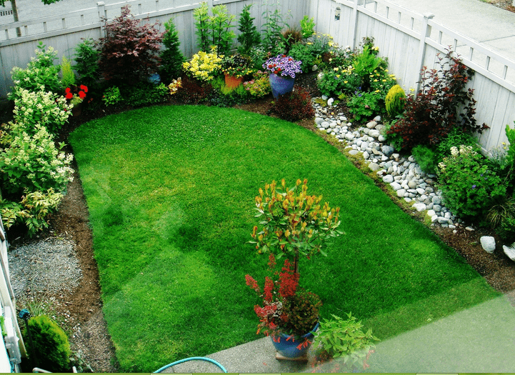 Halaman Belakang Rumah Minimalis