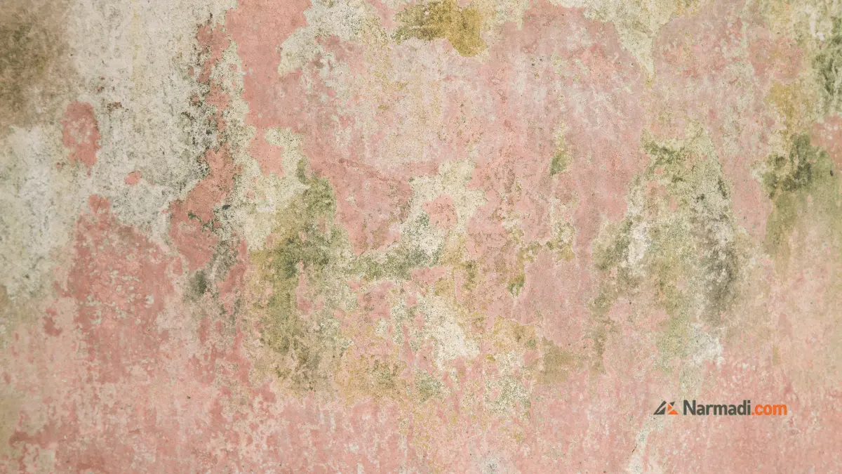 penyebab cat interior luntur