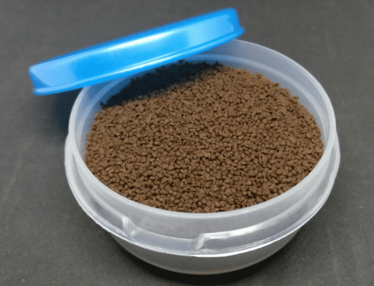 Cara Merawat Ikan Cupang