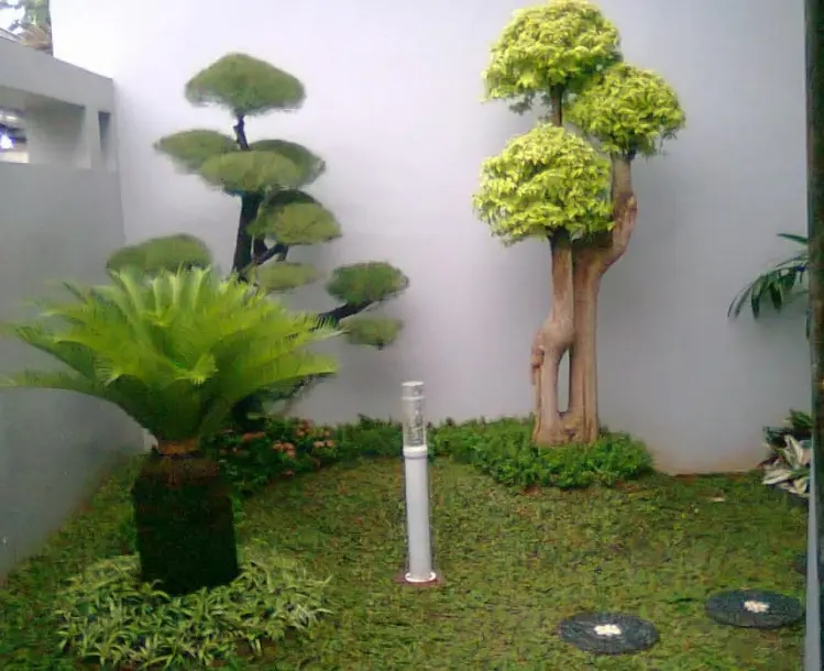 desain taman kecil dalam rumah