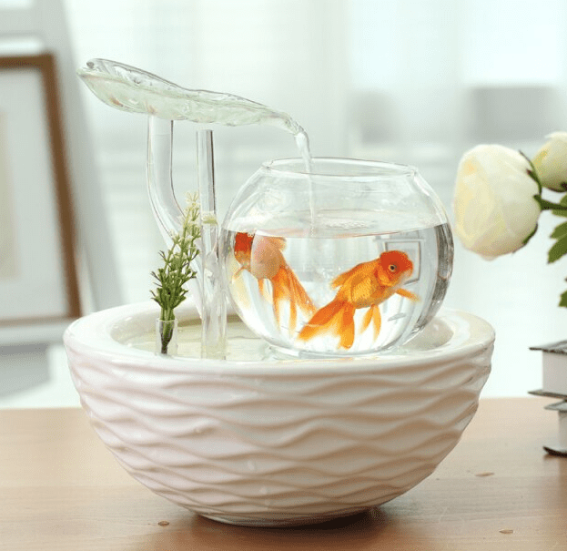 10 Ikan Hias untuk Aquarium, Cantik dan Indah