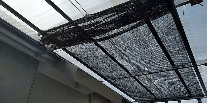 paranet untuk teras rumah