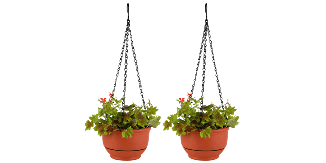 bunga gantung di teras rumah