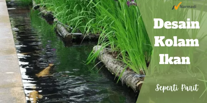 desain kolam ikan berkonsep seperti parit